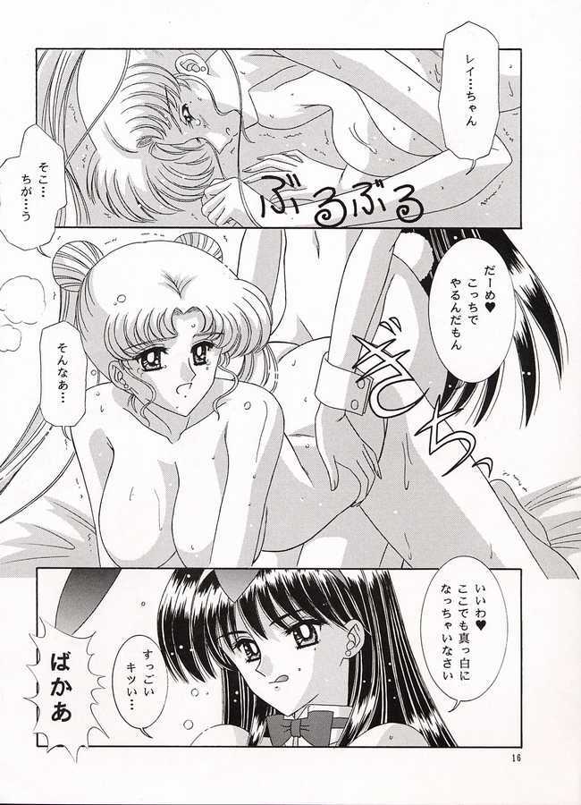 [Bousou!! Fuhatsudan (Takai Biki)] Watashi no Megami-sama (Bishoujo Senshi Sailor Moon) page 15 full