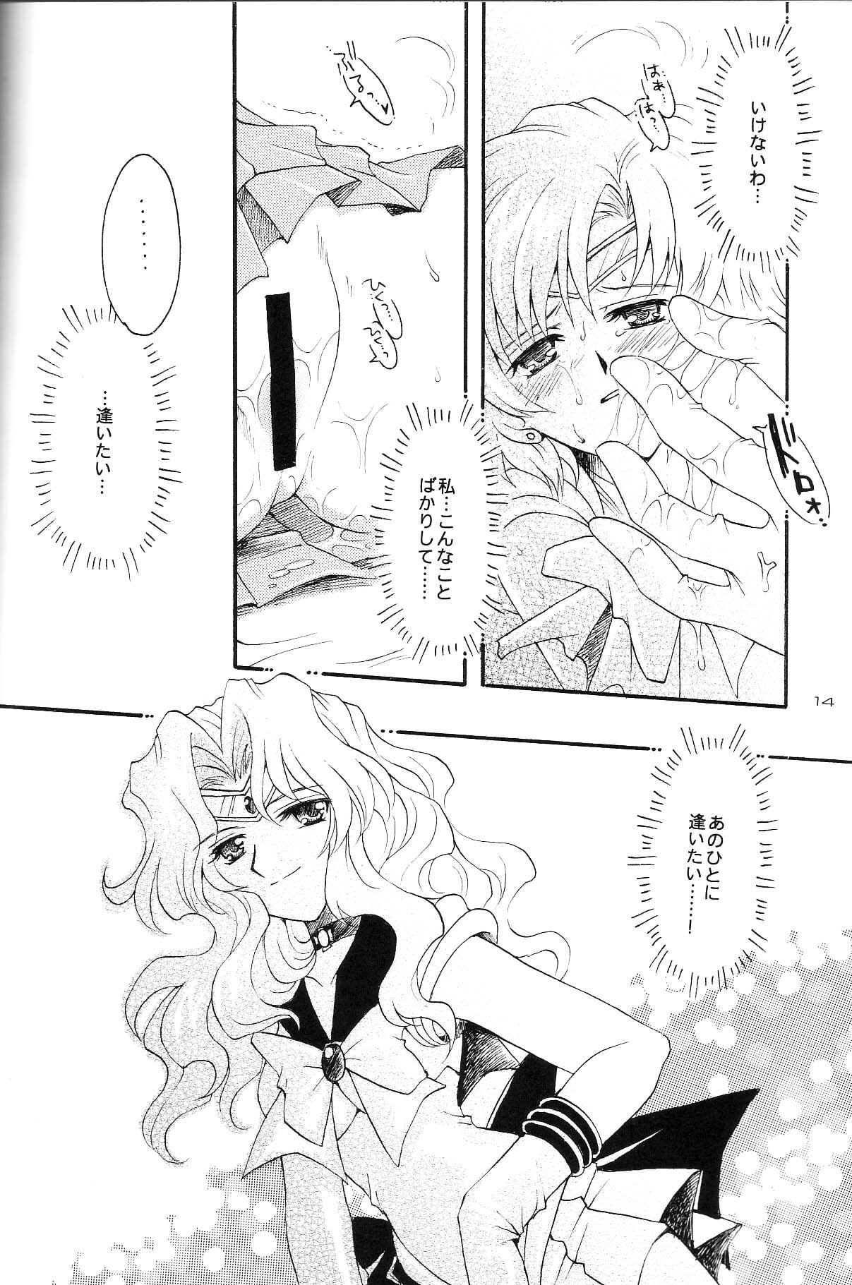 (CR35) [Kotori Jimusho (Sakura Bunchou)] Ave Maris Stella 3 (Bishoujo Senshi Sailor Moon) page 12 full