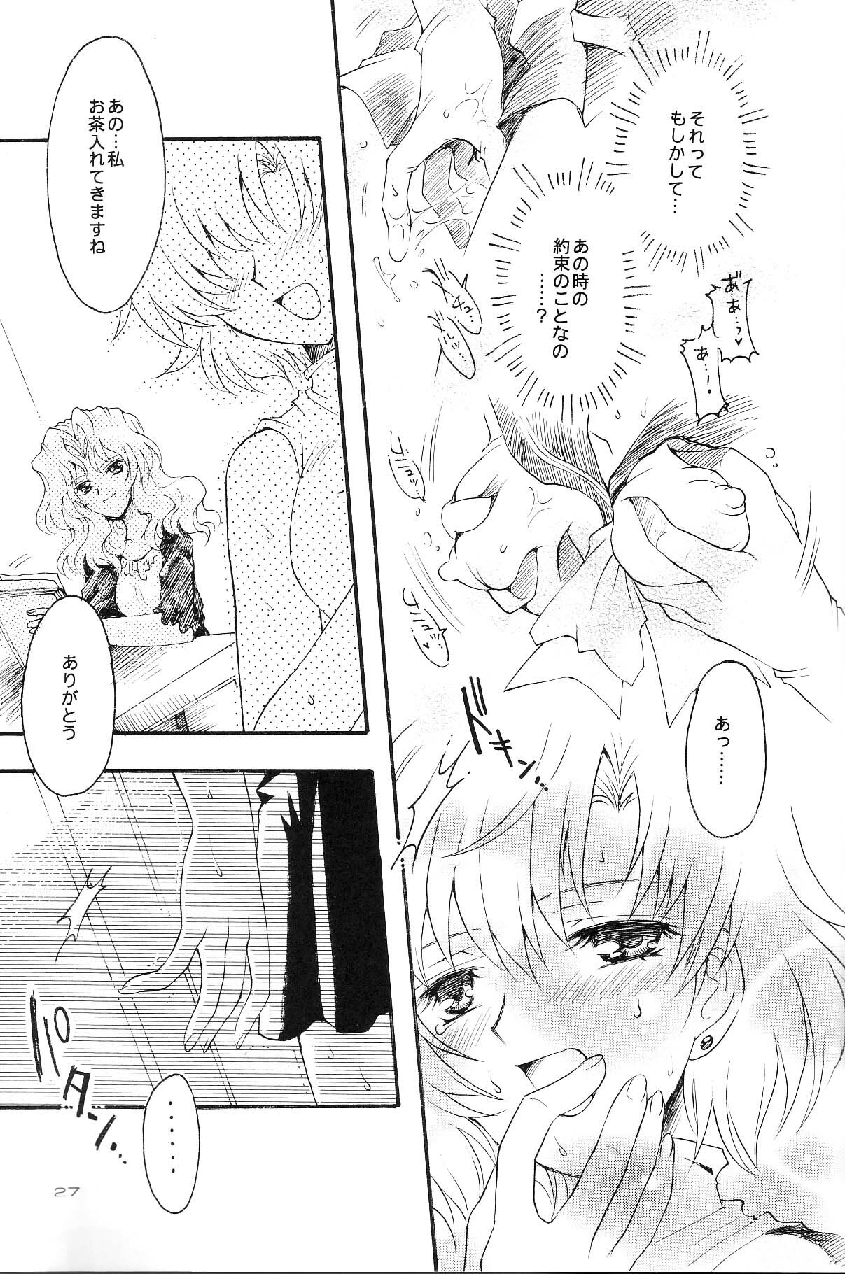 (CR35) [Kotori Jimusho (Sakura Bunchou)] Ave Maris Stella 3 (Bishoujo Senshi Sailor Moon) page 25 full