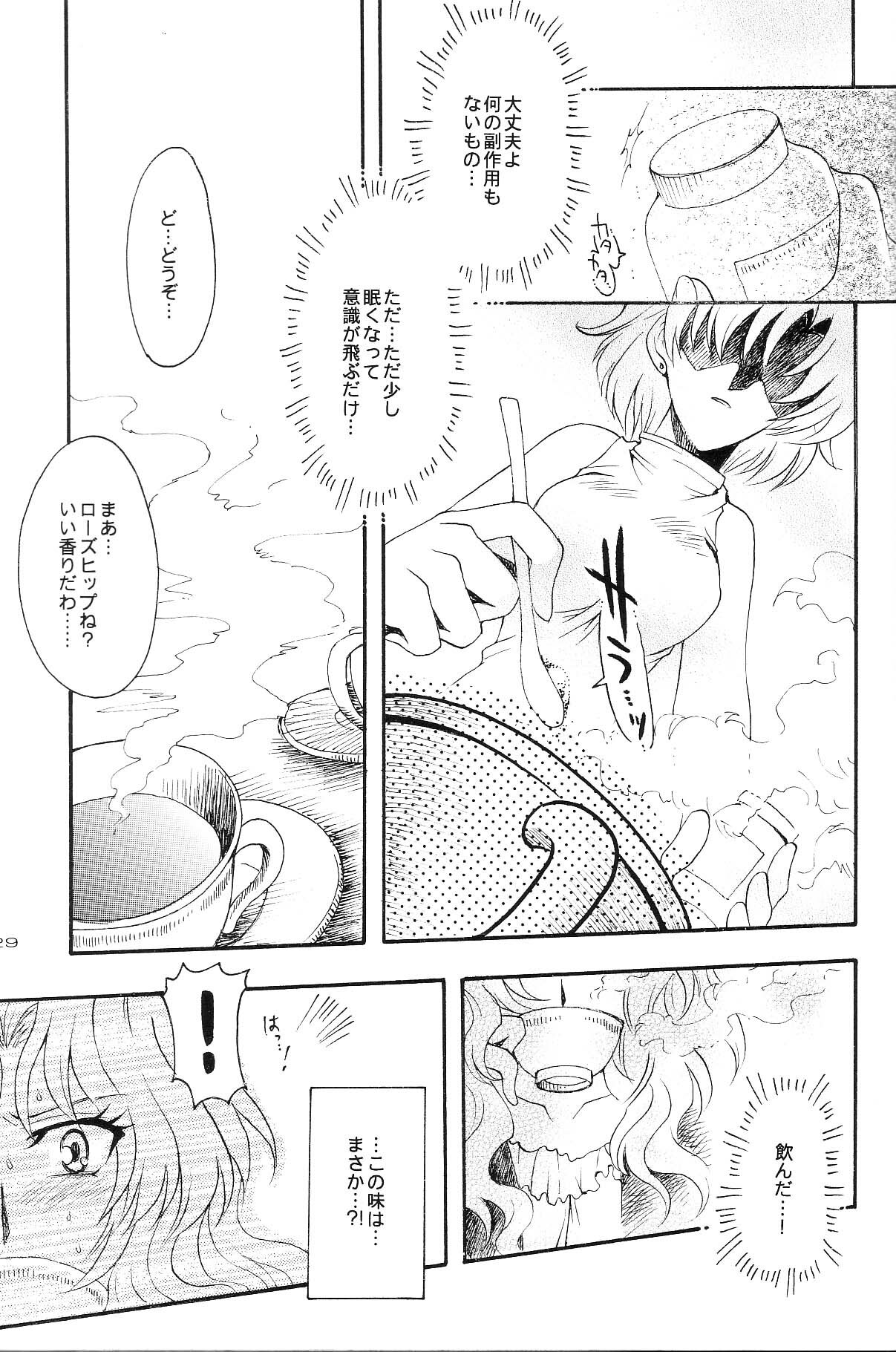 (CR35) [Kotori Jimusho (Sakura Bunchou)] Ave Maris Stella 3 (Bishoujo Senshi Sailor Moon) page 27 full