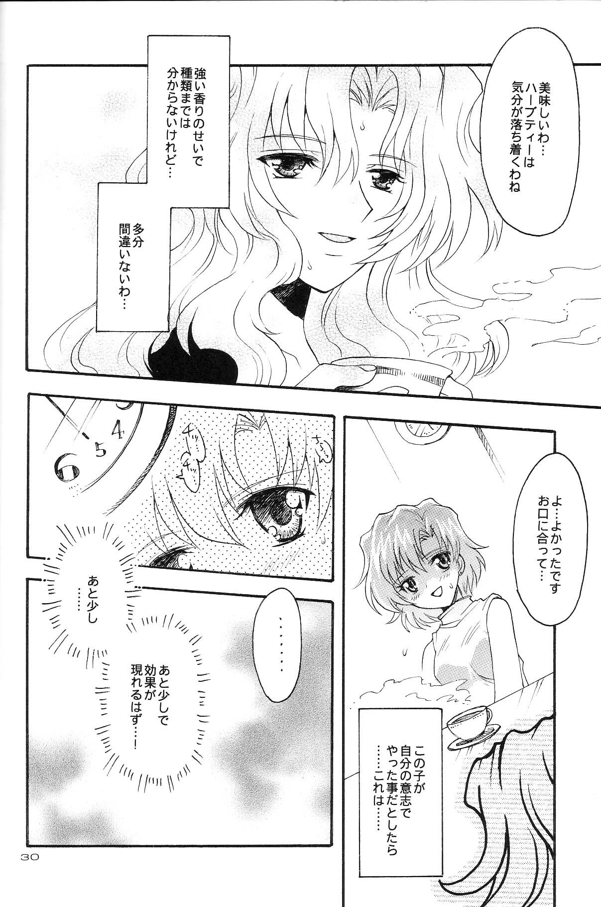 (CR35) [Kotori Jimusho (Sakura Bunchou)] Ave Maris Stella 3 (Bishoujo Senshi Sailor Moon) page 28 full