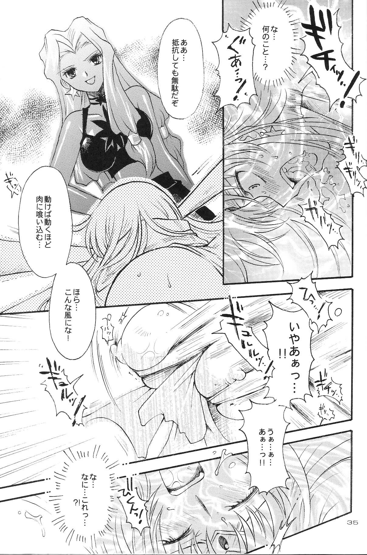 (CR35) [Kotori Jimusho (Sakura Bunchou)] Ave Maris Stella 3 (Bishoujo Senshi Sailor Moon) page 33 full