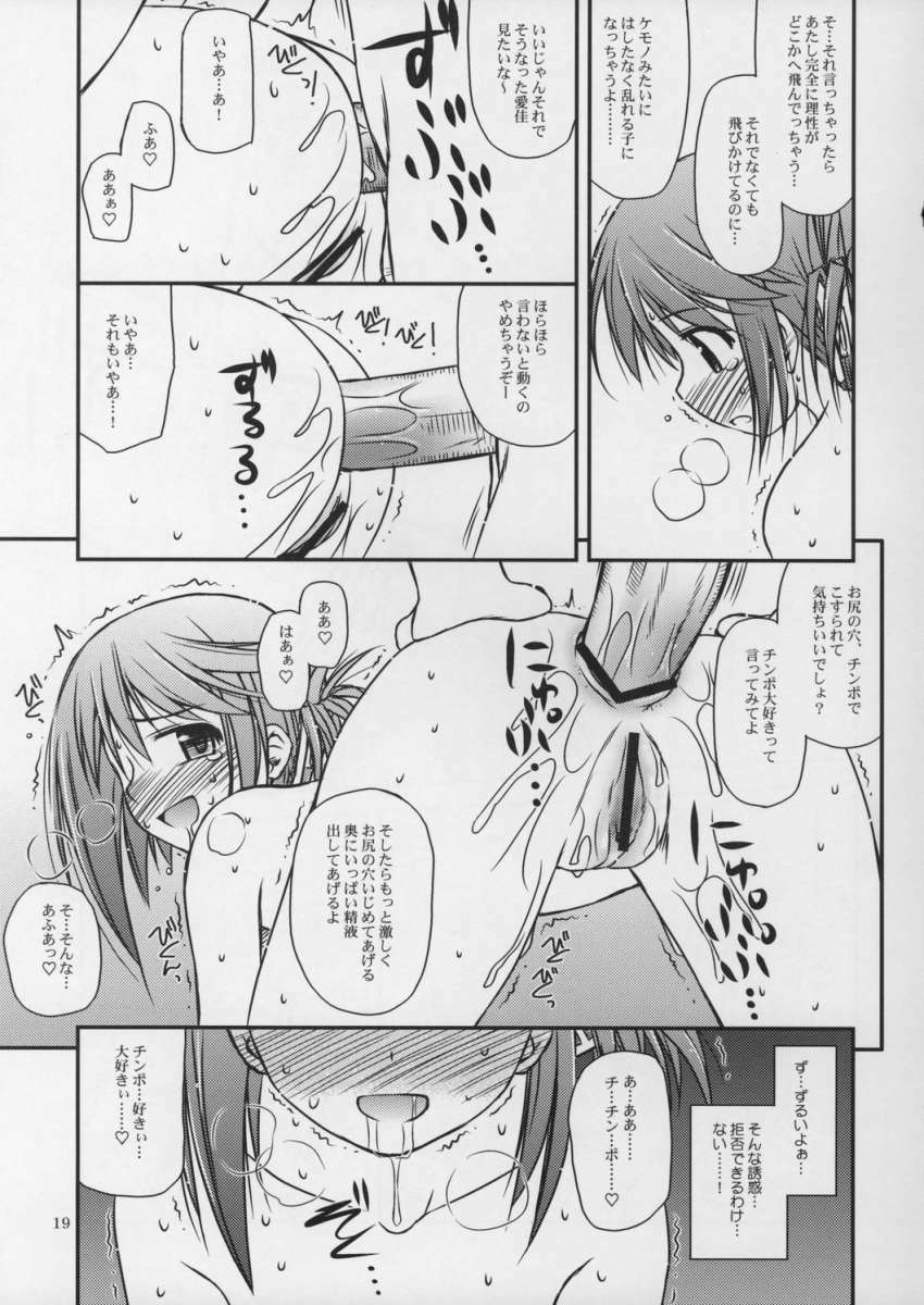 (C69) [Konno Seisakubou (Konno Azure)] Iincho no Katsubou (ToHeart2) page 18 full