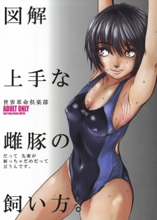 (C76) [Sekai Kakumei Club] Zukai Jyouzuna Mesubuta no Kaikata (Amagami)