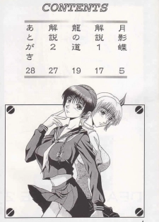 (C58) [BREEZE (Haioku)] R25 Vol.2 DoA2 SECOND (Dead or Alive) - page 3