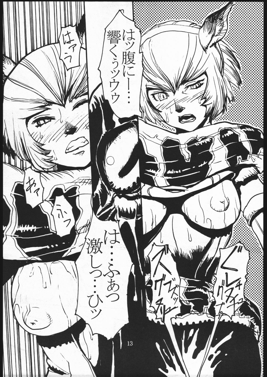 [Kuroshiki (Kurohiko)] Kuroshiki Vol. 1 (Final Fantasy XI) page 12 full