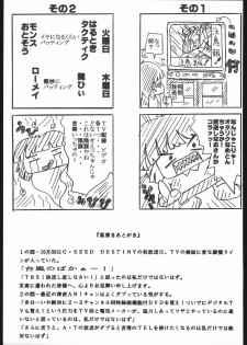 (C67) [Hime Iori (Mikan)] Ura Ura Destiny (Gundam SEED DESTINY) - page 20