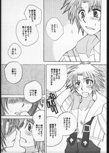 (C60) [Sasuga Shoukai (Kusanagi Yuhgi)] Sango to Hana to (Final Fantasy X) - page 6