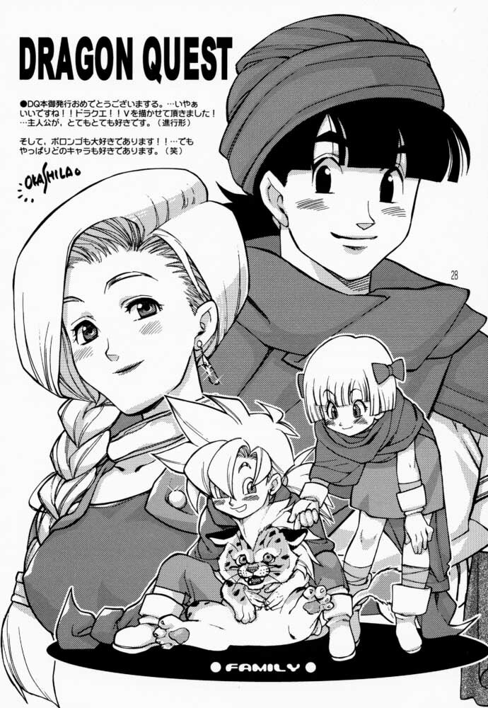 (C57) [Heroes Factory (Fujimoto Hideaki)] Draque Miracle (Dragon Quest) page 28 full