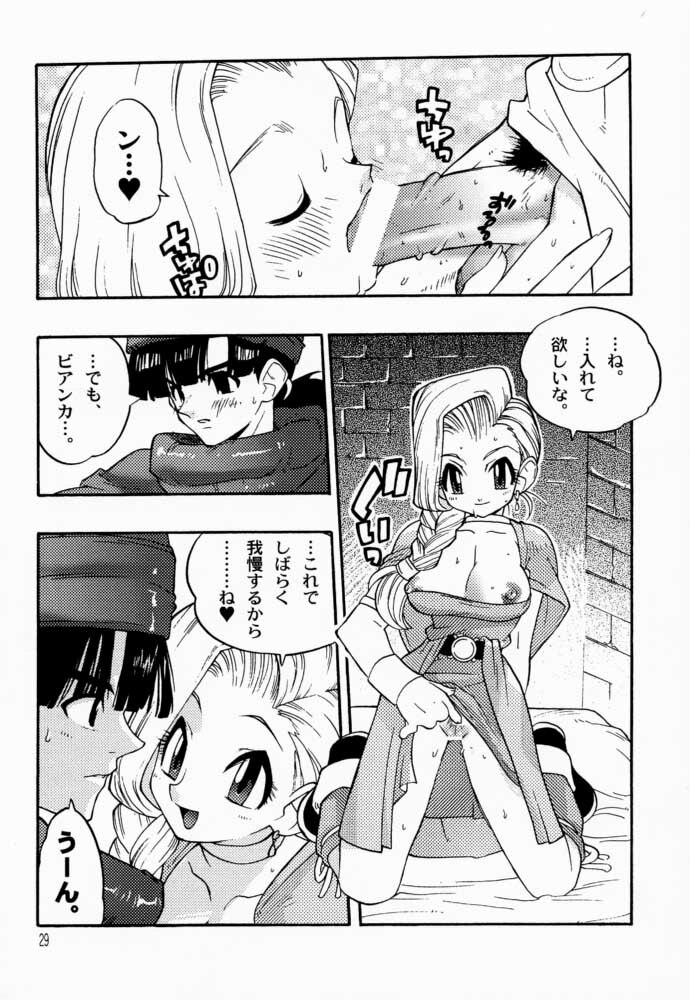 (C57) [Heroes Factory (Fujimoto Hideaki)] Draque Miracle (Dragon Quest) page 29 full