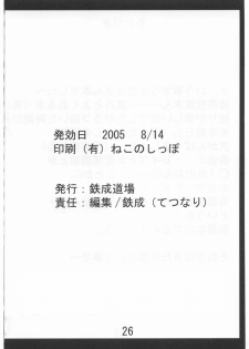 (C68) [Tetsunari Doujou (Tetsunari)] Akogare (Di Gi Charat) - page 25