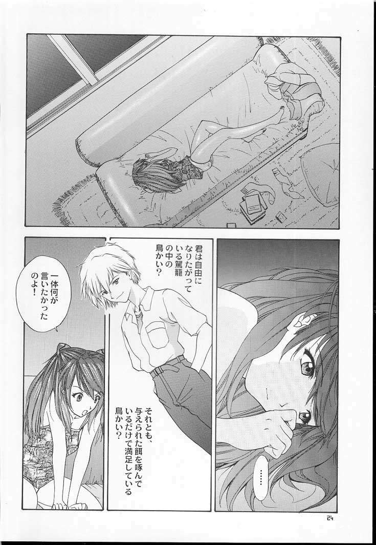 (C60) [Chimatsuriya Honpo (Asanagi Aoi)] 2001 Only Aska (Neon Genesis Evangelion) page 23 full