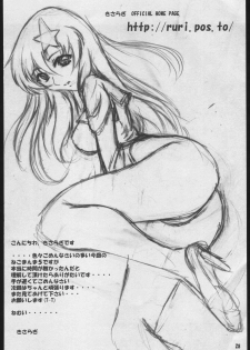 (C69) [L-Calena (Kisaragi)] Nekomanma 5 (Gundam Seed Destiny) - page 27