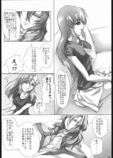 (C69) [L-Calena (Kisaragi)] Nekomanma 5 (Gundam Seed Destiny) - page 5