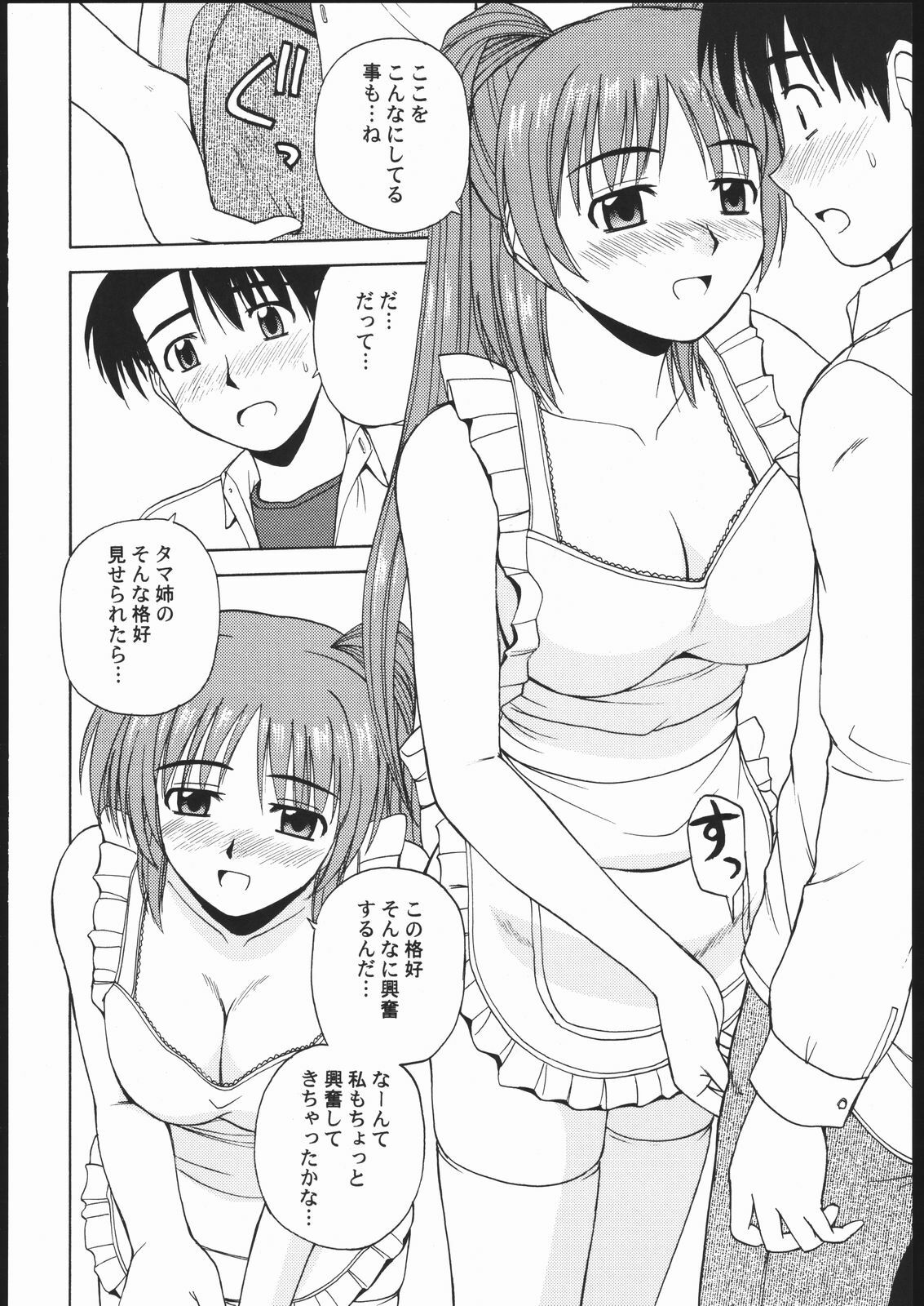 (C69) [G-SCAN CORP. (Satou Chagashi)] Tama-nee to Issho 2 (ToHeart 2) page 11 full