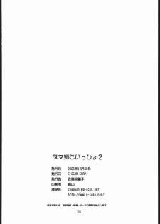 (C69) [G-SCAN CORP. (Satou Chagashi)] Tama-nee to Issho 2 (ToHeart 2) - page 29