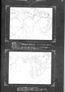 [CARNELIAN] CARNELIAN vol.3 D~Sono Keshiki no Mukou Gawa~ - page 39