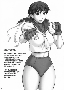 (COMIC1☆3) [Bakuretsu Fusen (Denkichi)] BF Champloo (Street Fighter) - page 3