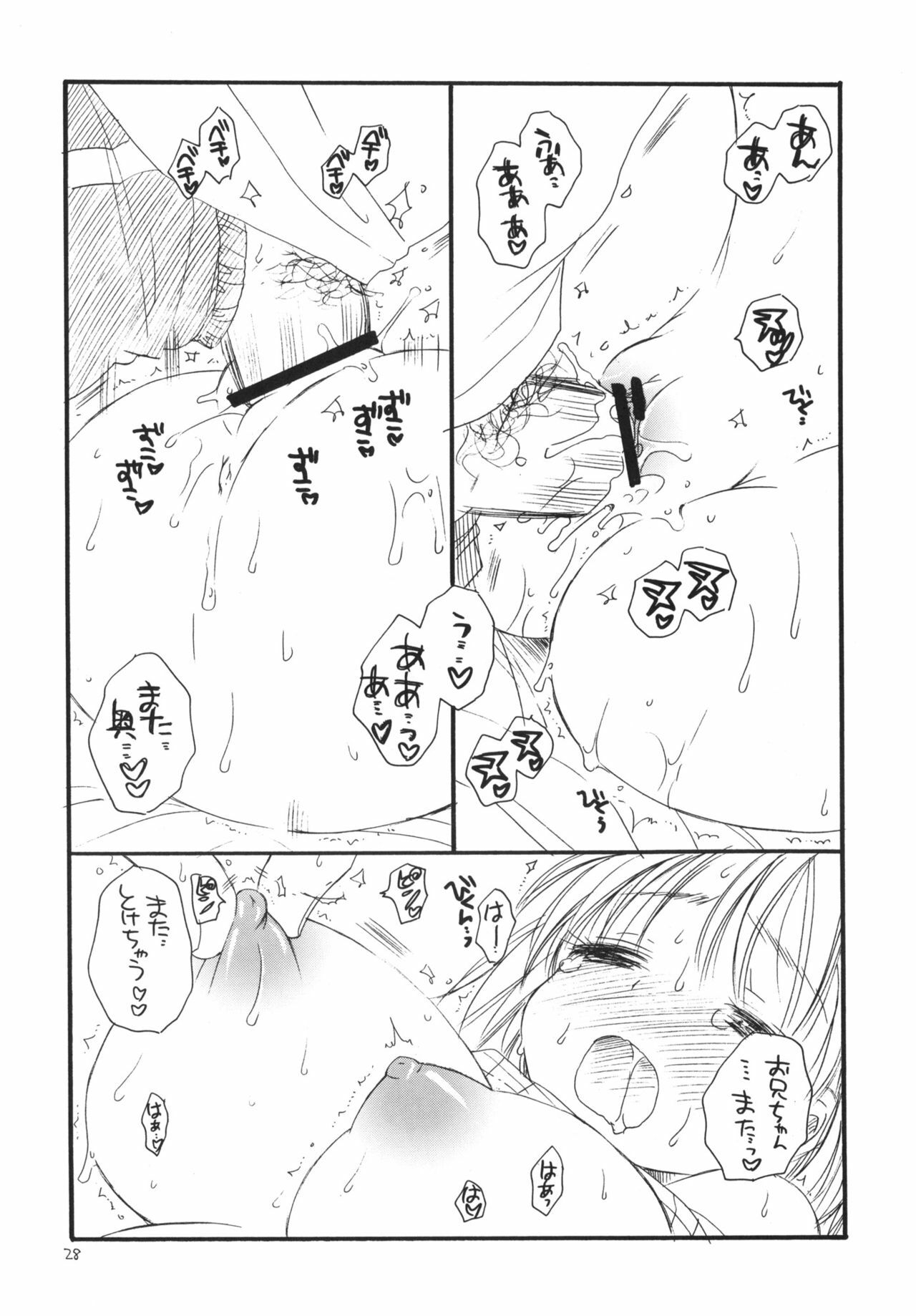 (C76) [TENKAICHI BABY'S (Inomoto Rikako, BENNY'S)] Tsurukko page 27 full