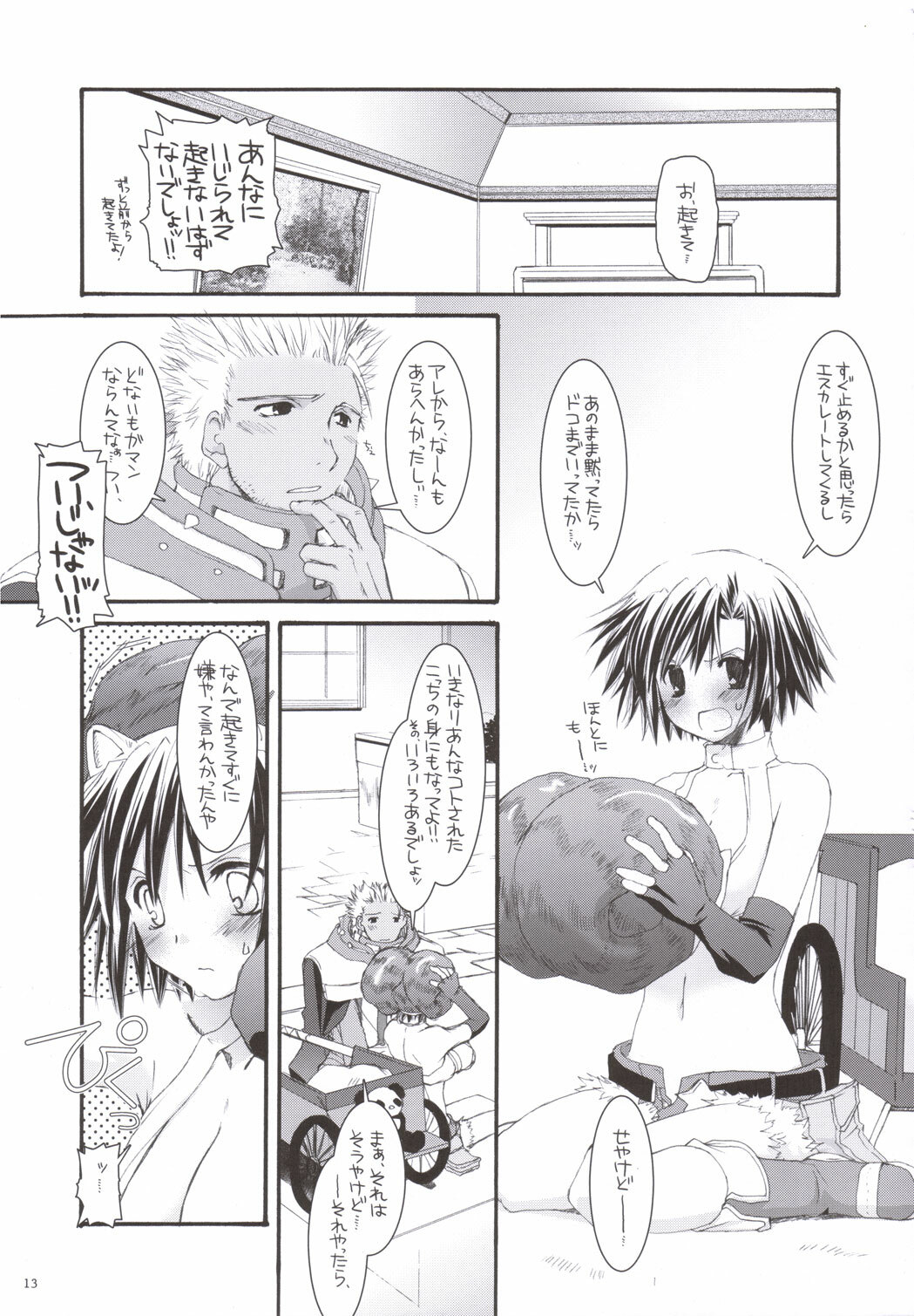 (C69) [Digital Lover (Nakajima Yuka)] D.L. action 33 (Ragnarok Online) page 12 full