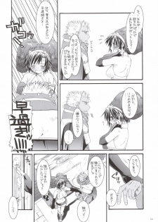 (C69) [Digital Lover (Nakajima Yuka)] D.L. action 33 (Ragnarok Online) - page 13