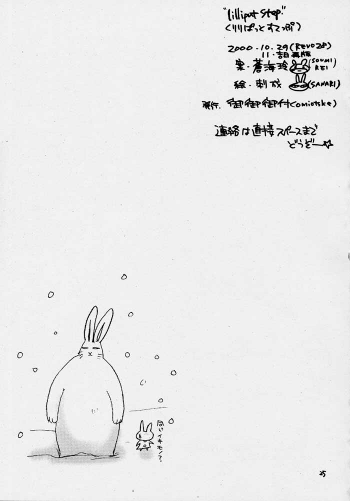 (CR28) [Omiotsuke (Soumi Rei, Sanari)] liliput step (One Piece) page 24 full