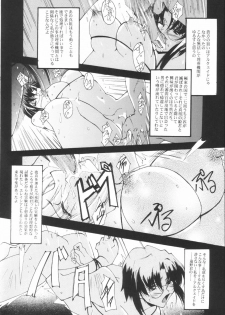 (CR33) [RYU-SEKI-DO (Nagare Hyo-go)] NIGREDO LUNA (Tsukihime) - page 25