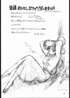 (C49) [Black Dog (Kuroinu Juu)] Killer Queen (Sailor Moon) - page 3
