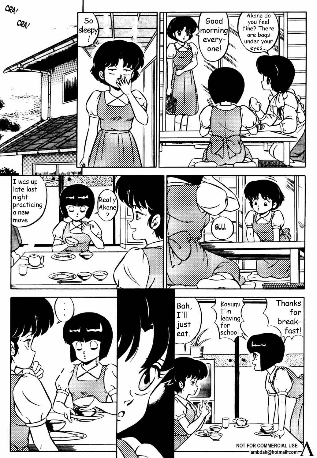 Ranma X forever: The Ladies of Tendou's Family (Ranma 1/2) [English] [Rewrite] [lambdah] page 19 full