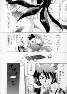 [Urawa Anime Festa (Various)] Urawa Special Hayate Ruri Densetsu (Martian Successor Nadesico) - page 17