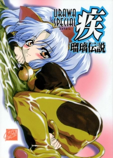[Urawa Anime Festa (Various)] Urawa Special Hayate Ruri Densetsu (Martian Successor Nadesico)