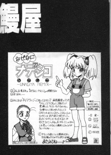 [Fits Project (Various)] Nadesico de Ikou! (Martian Successor Nadesico) - page 12