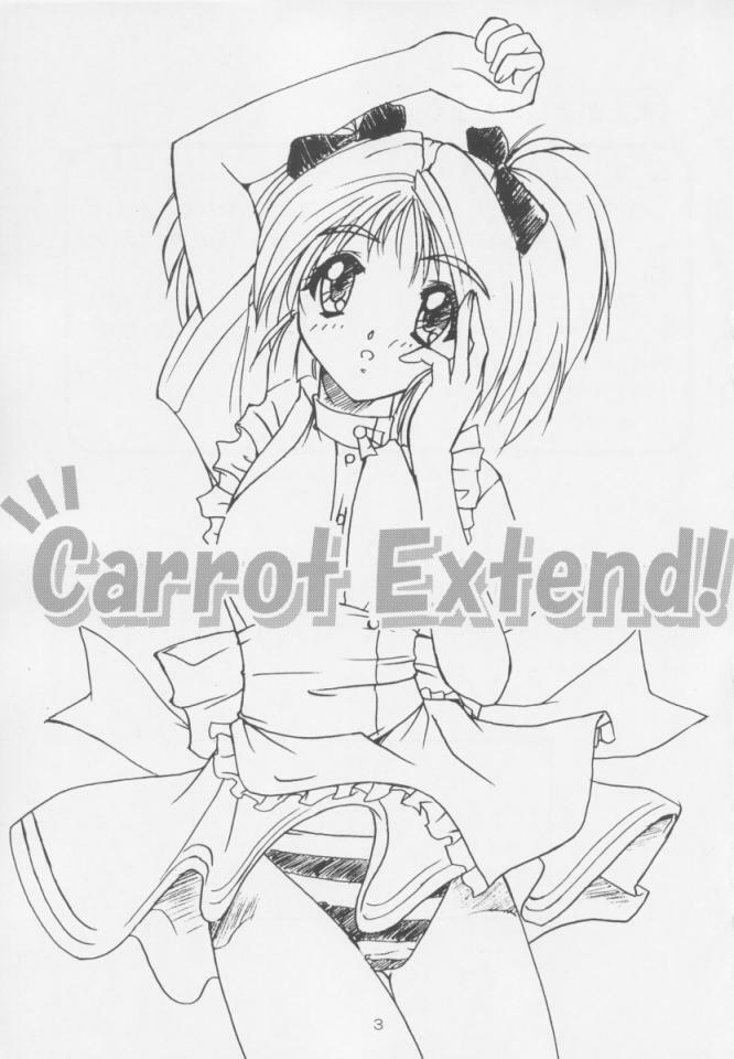 [Naniwa Onsen Tamago Kumiai (Katsumi Kouichi)] Carrot Extend! (Pia Carrot e Youkoso!!) page 2 full