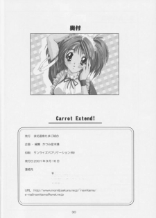 [Naniwa Onsen Tamago Kumiai (Katsumi Kouichi)] Carrot Extend! (Pia Carrot e Youkoso!!) - page 29