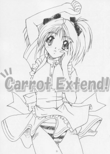 [Naniwa Onsen Tamago Kumiai (Katsumi Kouichi)] Carrot Extend! (Pia Carrot e Youkoso!!) - page 2