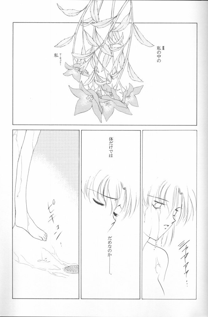 [Kotatsuya (Tatsuneko)] AM FANATIC (Bishoujo Senshi Sailor Moon) page 30 full