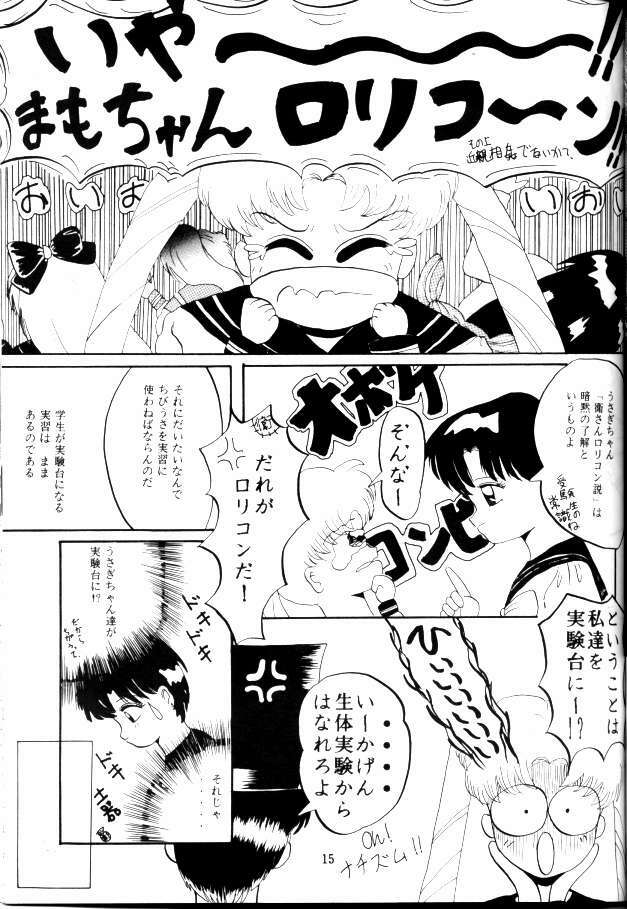 (C45) [Lummy] Ningen no Oisha-san Alpha Junbigou (Bishoujo Senshi Sailor Moon) page 12 full