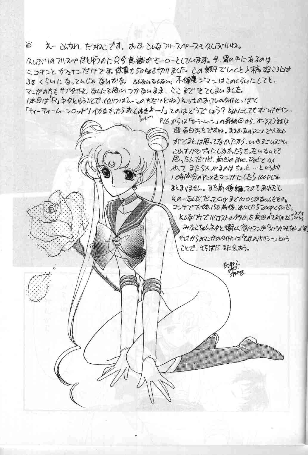 (CR13) [Kotatsuya (Tatsuneko)] SAILORS ORANGE VERSION (Bishoujo Senshi Sailor Moon) page 15 full