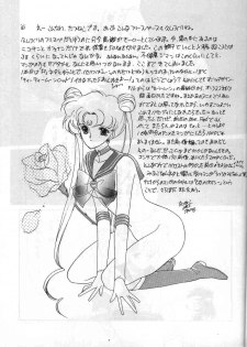 (CR13) [Kotatsuya (Tatsuneko)] SAILORS ORANGE VERSION (Bishoujo Senshi Sailor Moon) - page 15