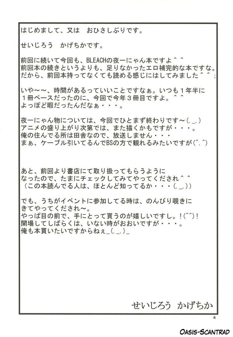 [Great Dadan (Seijirou Kagechika)] Yoruichi Nyan no Hon 2 (Bleach) [French] [O-S] [2004-10-29] page 4 full