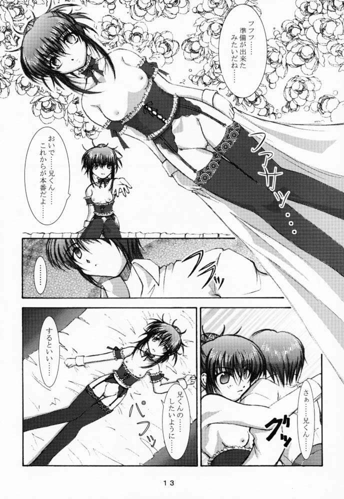 (CR29) [Takane no Hanazono (Takane Nohana)] Elixir (Sister Princess) page 12 full