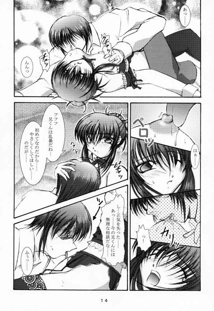 (CR29) [Takane no Hanazono (Takane Nohana)] Elixir (Sister Princess) page 13 full