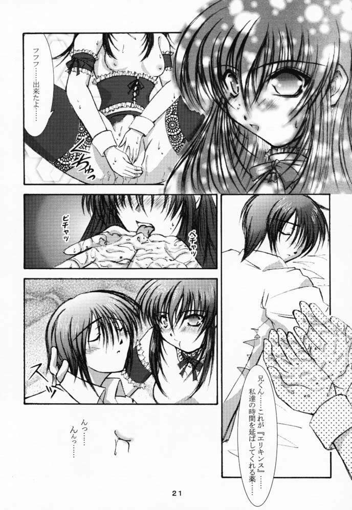 (CR29) [Takane no Hanazono (Takane Nohana)] Elixir (Sister Princess) page 20 full