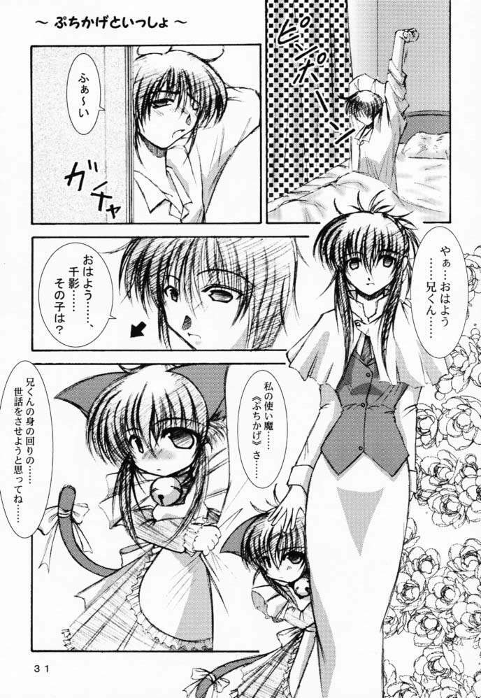 (CR29) [Takane no Hanazono (Takane Nohana)] Elixir (Sister Princess) page 30 full