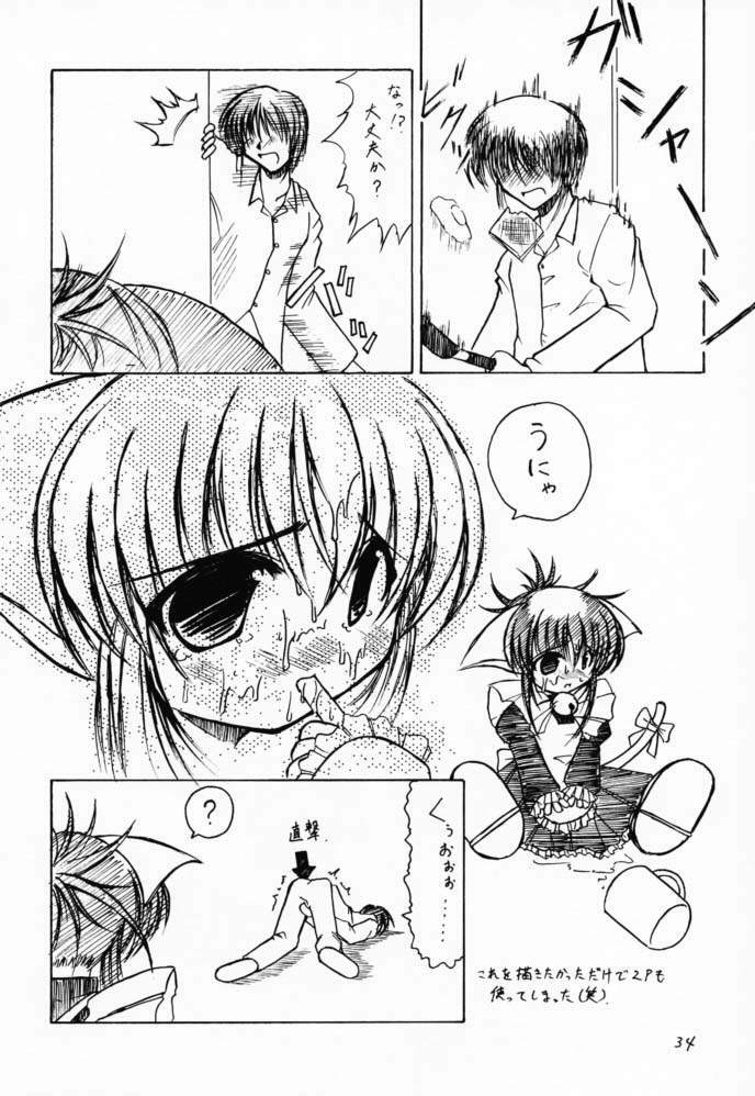 (CR29) [Takane no Hanazono (Takane Nohana)] Elixir (Sister Princess) page 33 full