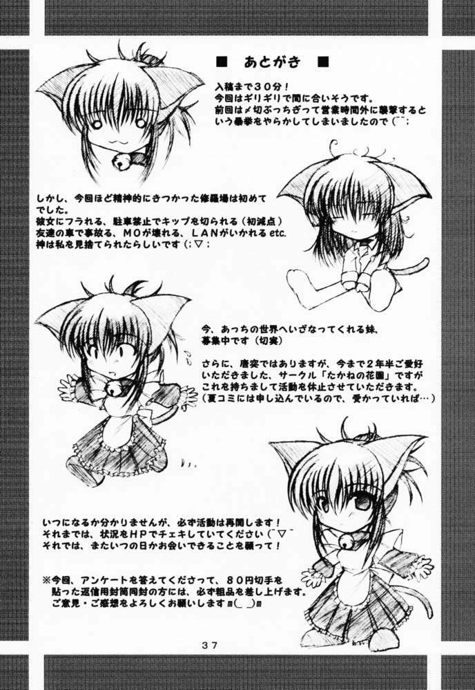 (CR29) [Takane no Hanazono (Takane Nohana)] Elixir (Sister Princess) page 36 full