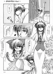 (CR29) [Takane no Hanazono (Takane Nohana)] Elixir (Sister Princess) - page 30