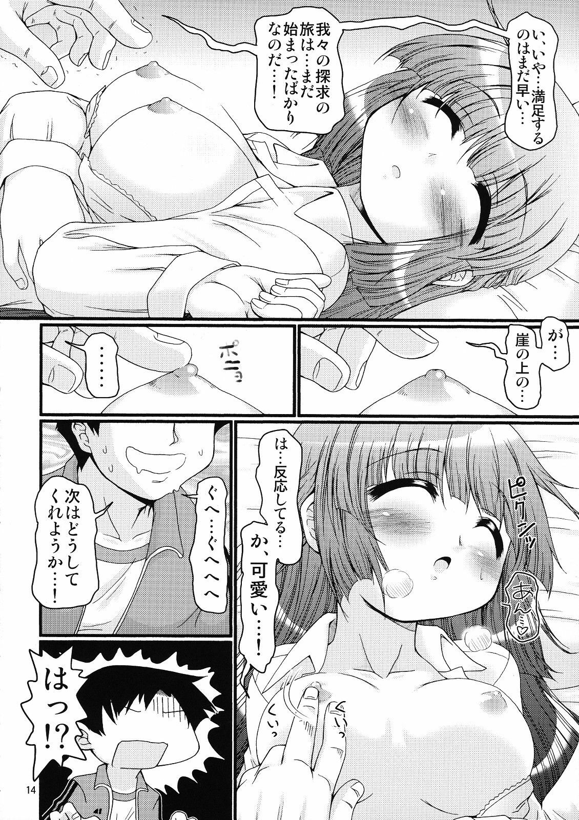 (C76) [FESTA. (Yoshitani Ganjitsu)] Tokumori Priceless (Hidamari Sketch) page 13 full