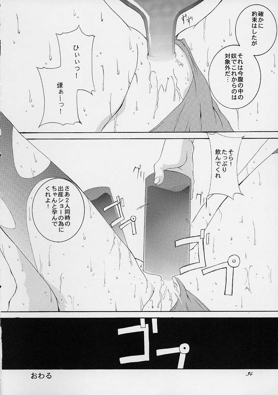 (C61) [F.A (Honoutsukai)] Haru VS 2 (Street Fighter, King of Fighters, Samurai Spirits) page 33 full
