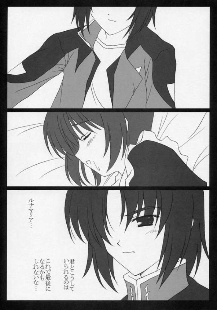 (C68) [Nirvana Soft (HIRONII)] FINAL RED IMPACT (Gundam Seed Destiny) page 12 full